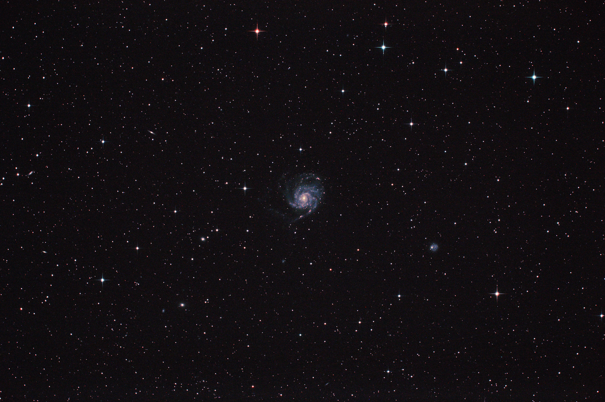 M101_TMB